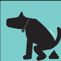 Top 10 - most shitty music ever